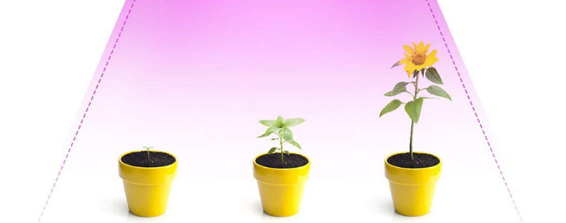 TOP 2020 MEILLEUR PANNEAU LED HORTICOLES